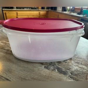 Tupperware Flavour Savour Container